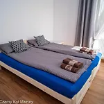 Czarny Kot Mazury Dom Caloroczny Tatil Evi