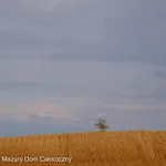 Tatil Evi Czarny Kot Mazury Dom Caloroczny