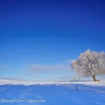 Tatil Evi Czarny Kot Mazury Dom Caloroczny *