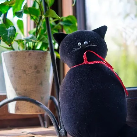 Czarny Kot Mazury Dom Caloroczny Дом отдыха *