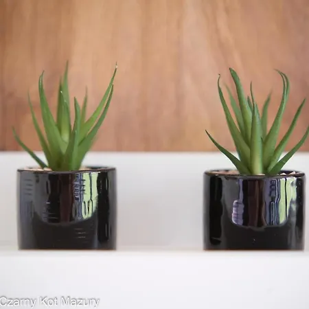 Дом отдыха Czarny Kot Mazury Dom Caloroczny Malkinie