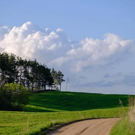 Czarny Kot Mazury Dom Caloroczny Malkinie
