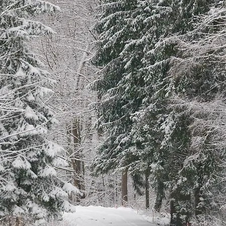 Czarny Kot Mazury Dom Caloroczny