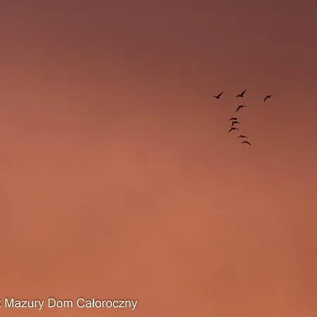 Czarny Kot Mazury Dom Caloroczny Malkinie