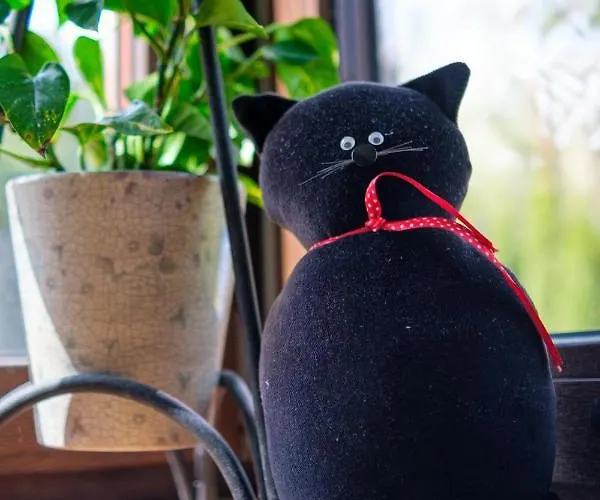 Czarny Kot Mazury Dom Caloroczny Holiday home *