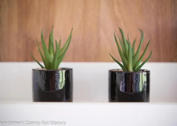 Holiday home Czarny Kot Mazury Dom Caloroczny Malkinie