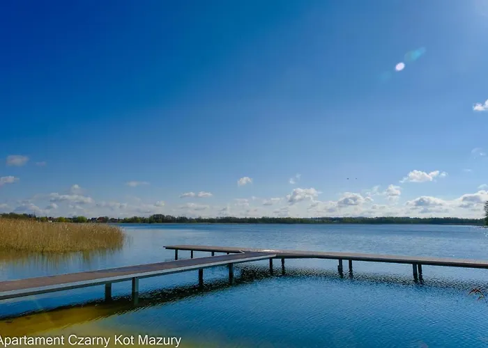 Czarny Kot Mazury Dom Caloroczny Malkinie