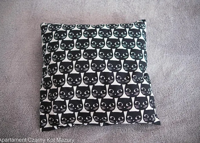 Czarny Kot Mazury Dom Caloroczny *