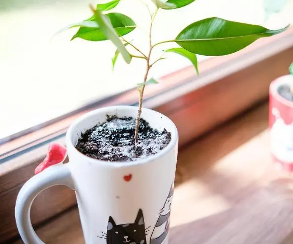 Holiday home Czarny Kot Mazury Dom Caloroczny