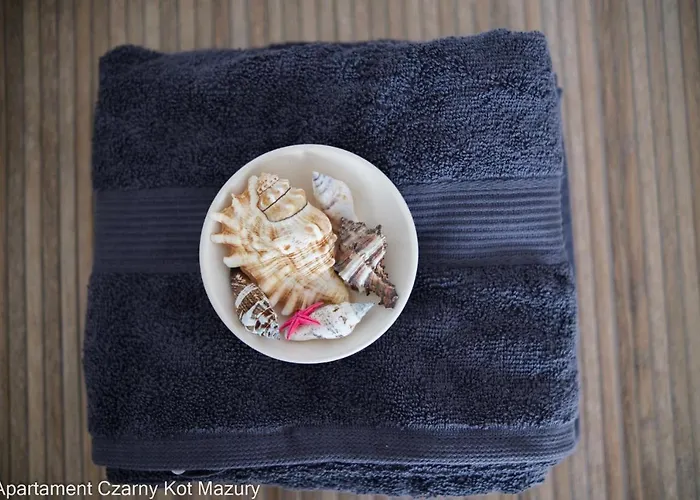 Czarny Kot Mazury Dom Caloroczny Holiday home