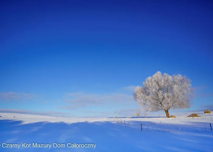 Holiday home Czarny Kot Mazury Dom Caloroczny *